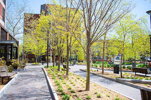 a park with trees and benches on a sidewalk
