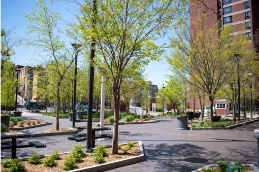 a park with trees and benches in a city