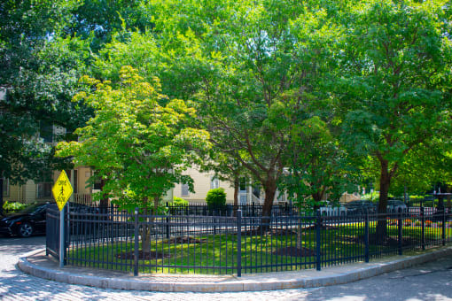 a park with trees and a fence