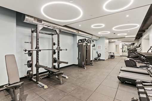 A well-equipped gym with various fitness machines and weights.