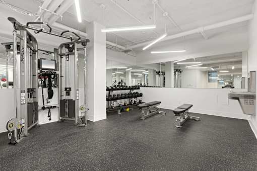 A gym with a variety of equipment including weights and a bench.