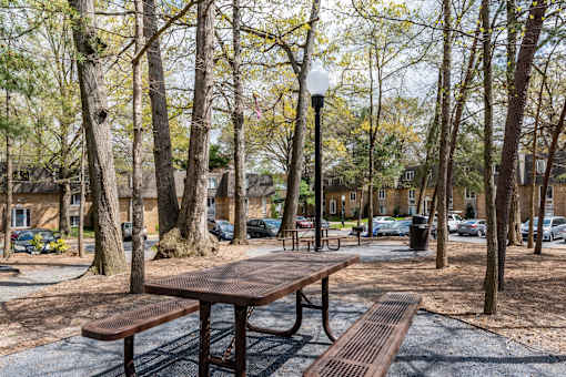 picnic area