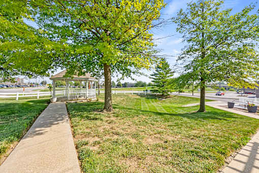 A tree with yellow leaves stands in a grassy area.
