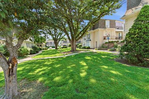 A tree in a yard with a house in the background.