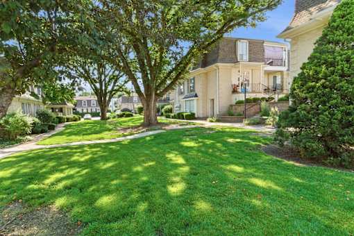 A tree in a grassy area in front of a building.