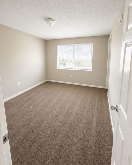 A room with a carpeted floor and a window.
