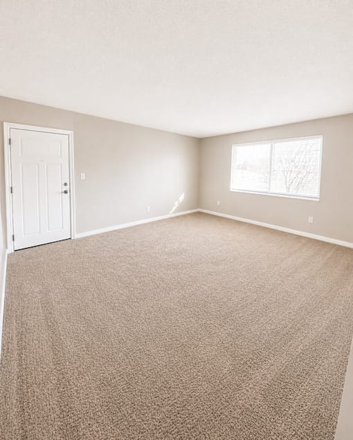 A room with a carpeted floor and a window showing trees outside.
