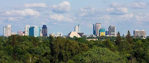 A daytime photograph of the Sacramento skyline above trees