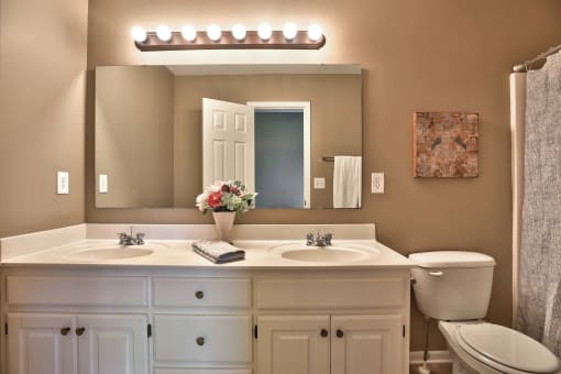 a bathroom with a sink and a mirror and a toilet