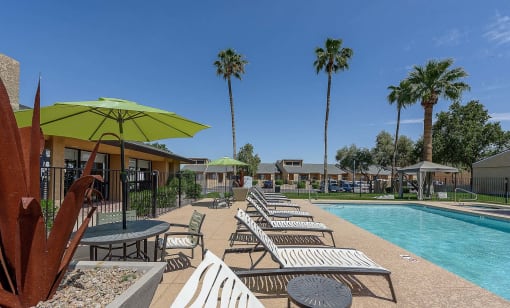 a pool with chairs and umbrellas and palm trees