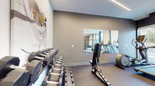 A gym with a row of dumbbells and exercise equipment.