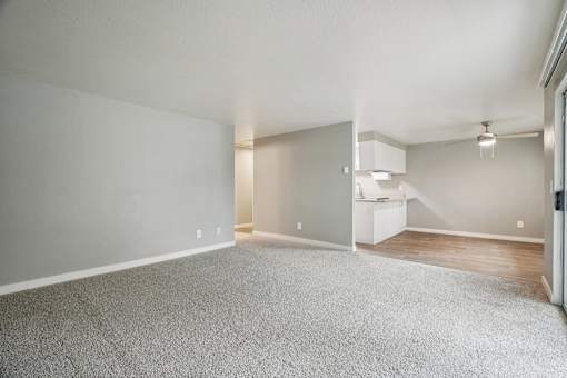 A spacious room with grey carpeting and white walls.