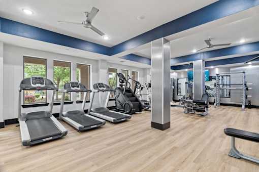A gym with treadmills, weights, and exercise equipment.