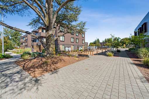 A large tree is in the middle of a brick courtyard.