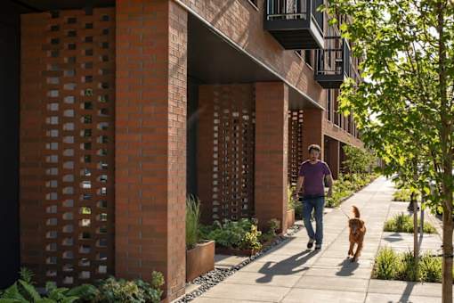 Arts Plaza Gresham Oregon Apartments A man walking his dog on a sidewalk in front of a brick building.