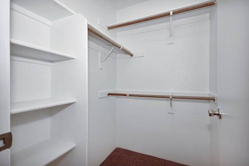 A white closet with shelves and a brown carpet.