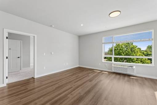 A room with a window overlooking a green area.