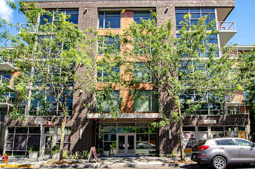 A modern building with a tree growing out of the entrance.