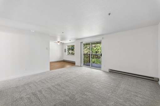 A spacious room with a grey carpet and white walls.