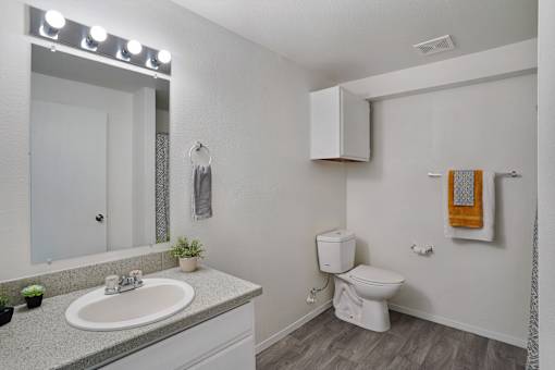 A bathroom with a white toilet and a sink with a mirror above it.
