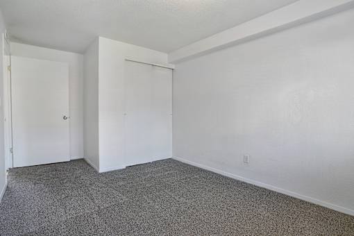 A room with white walls and carpeted floor.