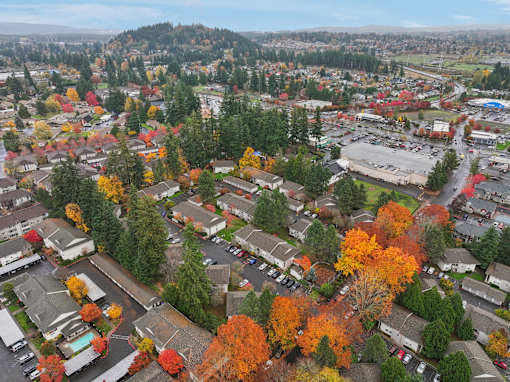 A small town with a lot of trees with autumn leaves.