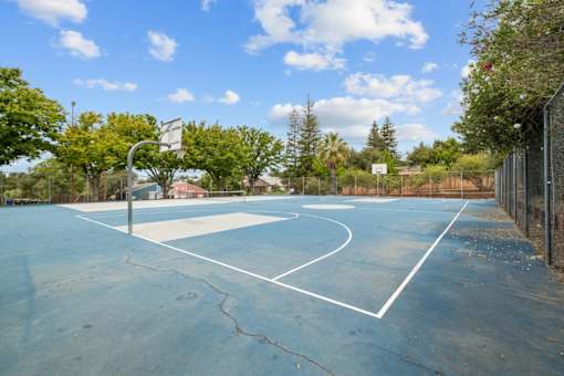 A basketball court with a blue surface and white lines.