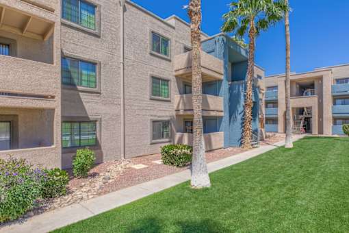 A building with a blue wall and a palm tree in front.