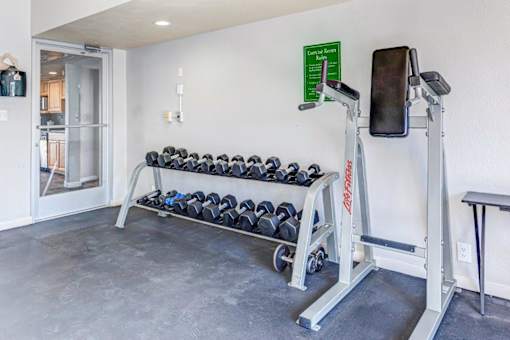 A gym room with a bench, weights, and a barbell.