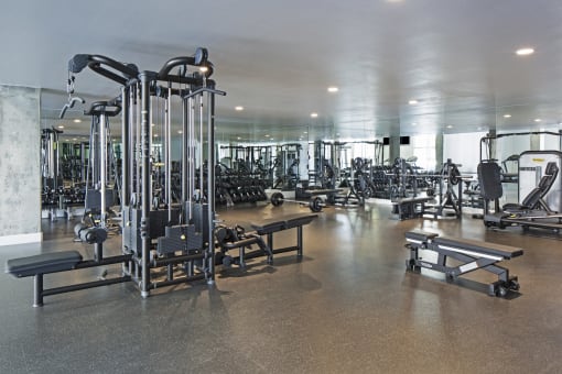 Apartments for Rent in Hollywood - The Fifty Five Fifty - A Spacious Fitness Center With Plenty Of Natural Light And An Abundance Of Workout Machines And Equipment