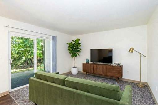 A living room with a green couch and a television.