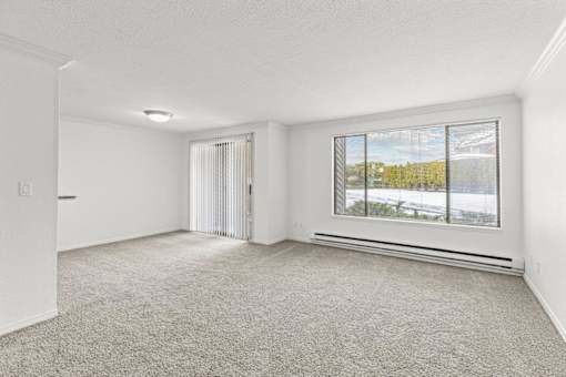 A room with a carpeted floor and a window with a view of the outside.