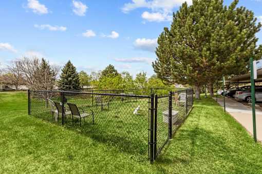 A black fence surrounds a green lawn.