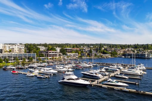 Voda Apartment Kirkland Marina