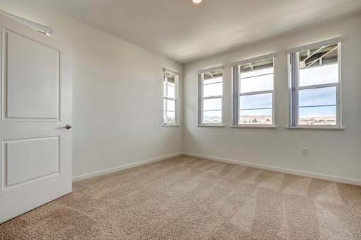 A room with a carpeted floor, a white door, and three windows.
