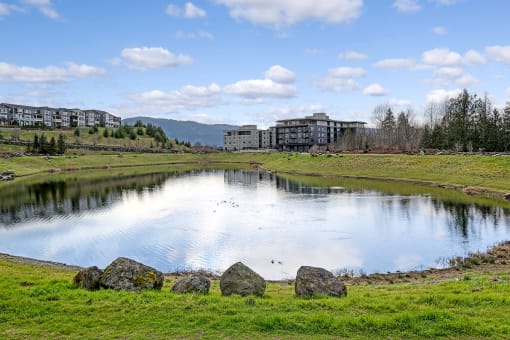 a pond with buildings in the background and a blue sky
