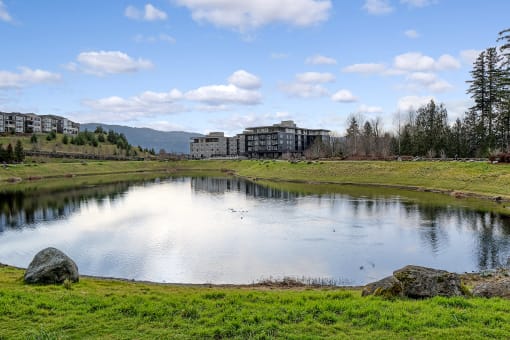 a pond with buildings in the background and a blue sky with clouds