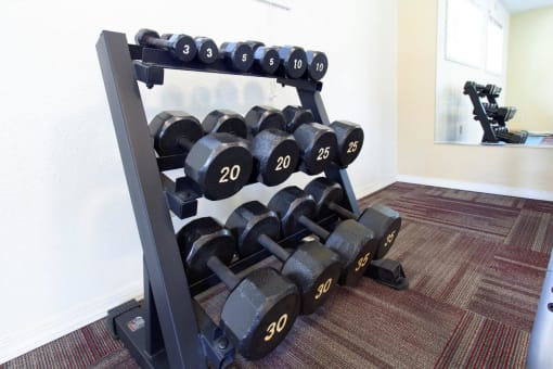 Arborpointe Apartments Fitness Center