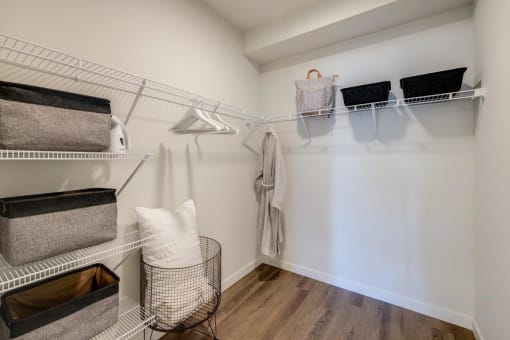 Solace at Rainier Ridge Apartments Model Walk-In Closet