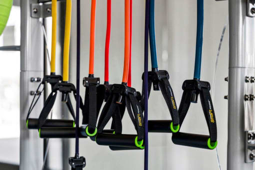 a row of bungee cords hanging on a wall