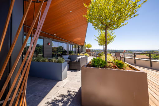 a roof terrace with benches and plants and views of the city