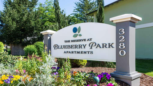 Reserve at Blueberry Park Monument Sign