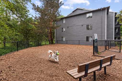 On-site leash free dog park at Cedar Crest Apartments in West Beaverton, Oregon.