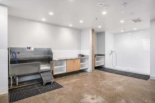 A clean, empty room with a kitchen area and a shower.