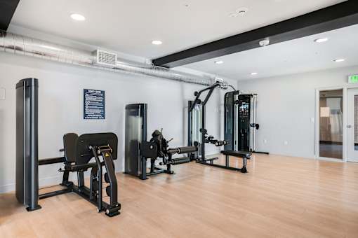 A gym with a variety of equipment including a treadmill, a stationary bike, a rowing machine, a bench press, and a squat rack.