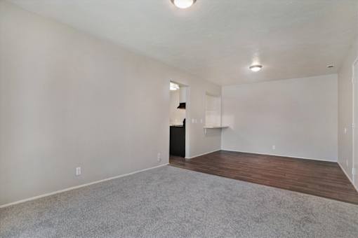 A room with a grey carpet and a black wardrobe.