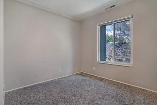 A room with a window and a carpeted floor.