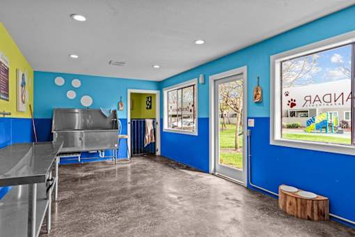 A blue and yellow kitchen with a large window.