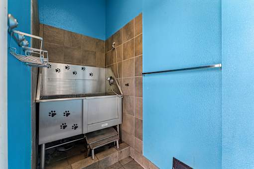 A blue bathroom with a shower and a sink.
