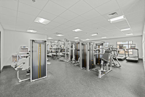 a large fitness room filled with cardio machines and weights